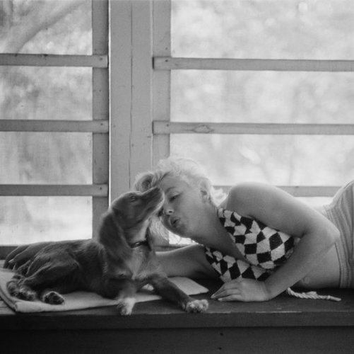 american-actress-marilyn-monroe-cuddles-up-to-a-small-dog-news-photo-1571144327.jpg