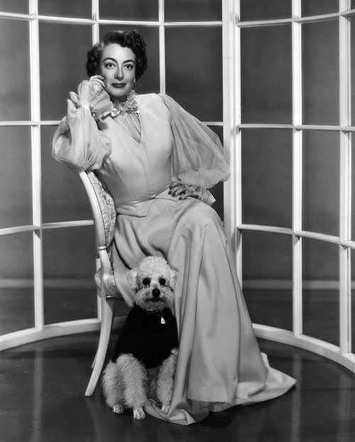 joan-crawford-23-03-1977-schauspielerin-usamit-ihrem-hund-news-photo-1571140876.jpg