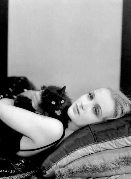 actress-with-cats-2.jpg