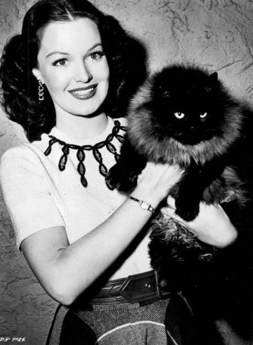 actress-with-cats-22.jpg