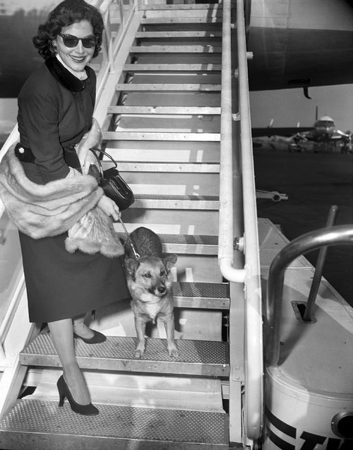 actress-ava-gardner-and-her-dog-rags-new-york-daily-news-archive.jpg