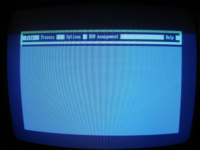 5.JPG