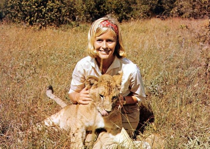 Virginia McKenna.jpg