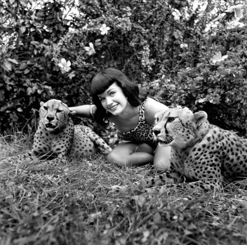 bettie-page-cheetahs-4.jpg