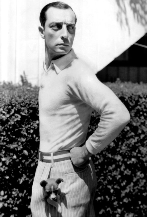 buster-keaton-puppy-pocket-600x882.jpg