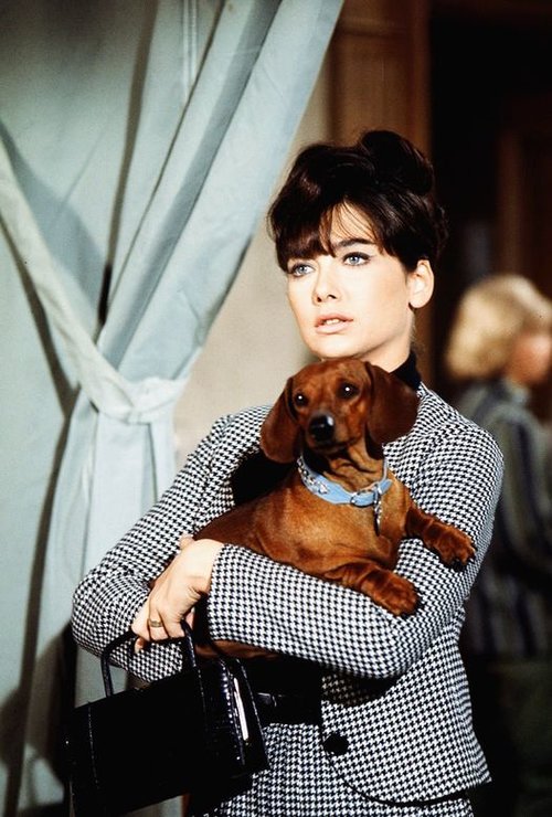 Suzanne Pleshette.jpg