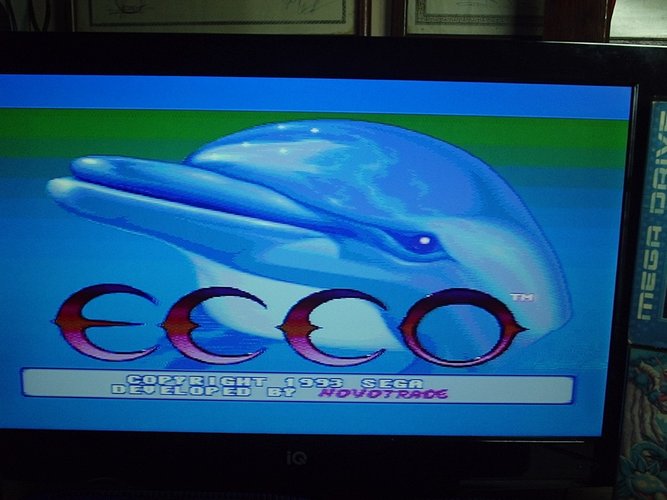 thumbnail_EccO.jpg