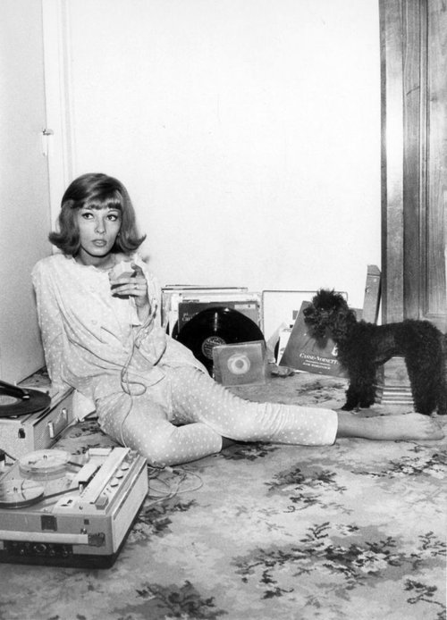 Dany Saval..jpg