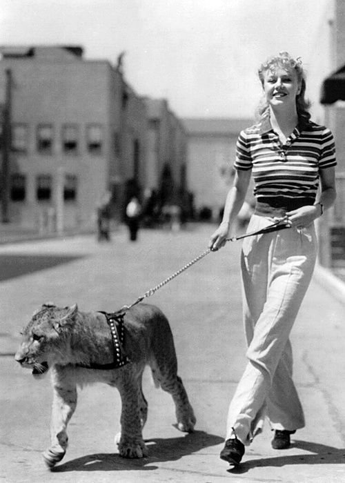 Ginger Rogers.jpg