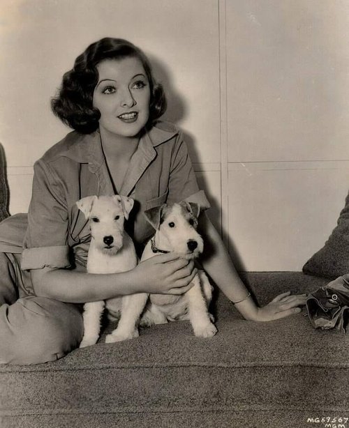 Myrna Loy.jpg