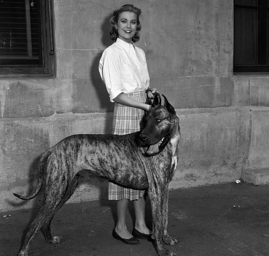 grace-kelly-with-great-dane.jpg