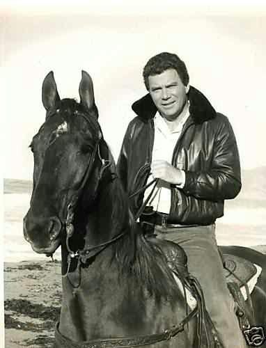 31a783b1a4f977a8713ca013a7e7ca1a--horse-and-rider-william-shatner.jpg