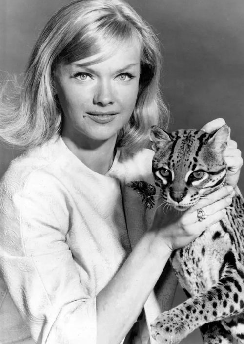 Anne Francis.png