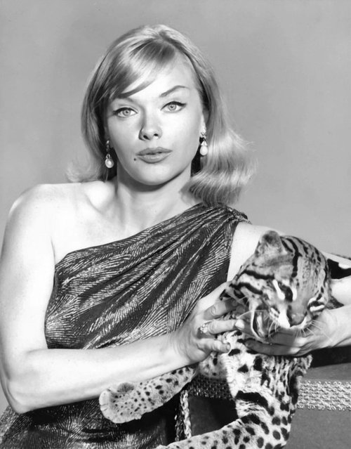 Anne Francis.jpg