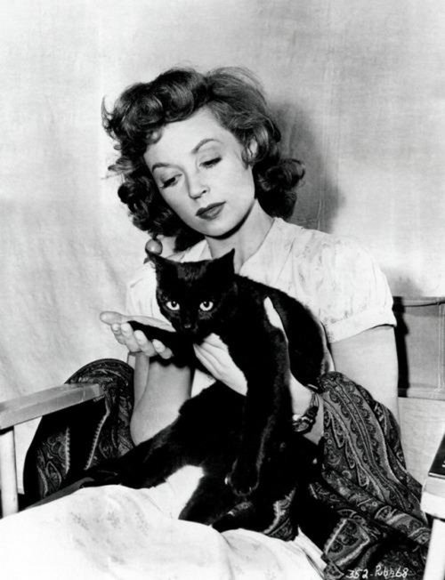 actress-with-cats-25.jpg