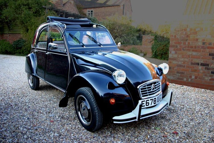 2cv_pinkdylan_frome.jpg