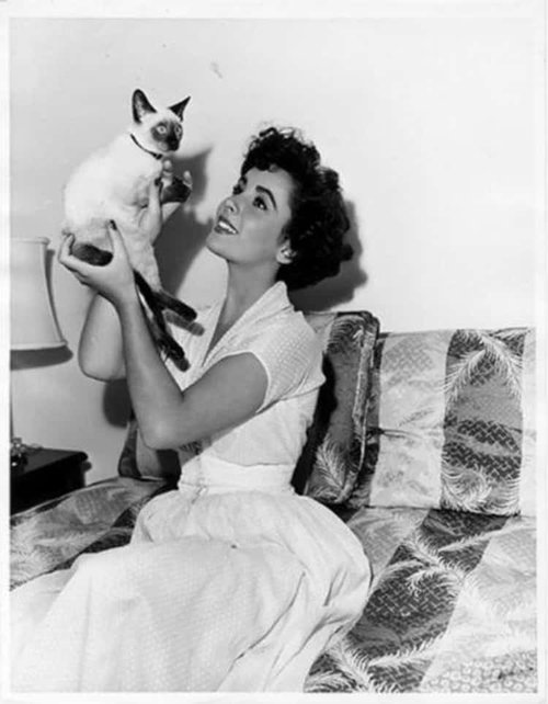 elizabeth-taylor-recording-artists-and-groups-photo-u70.jpg