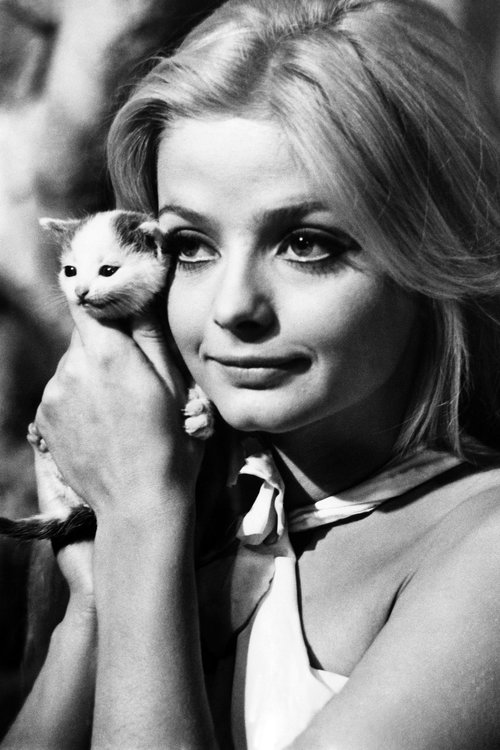 actresses-with-cats-27.jpg