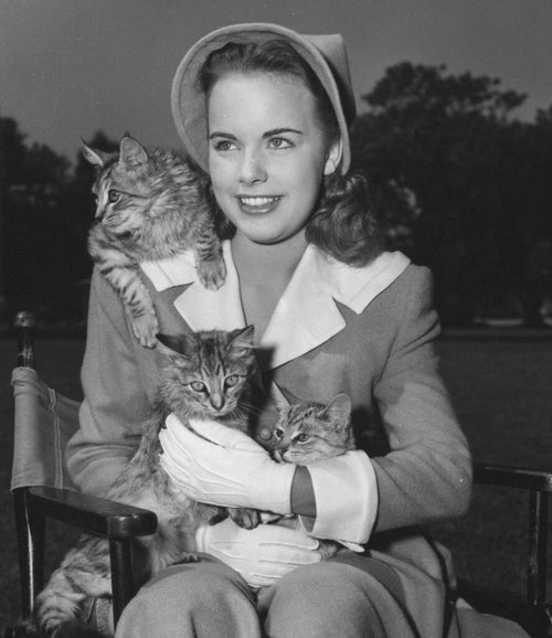 Terry_Moore_1947_photo.jpg