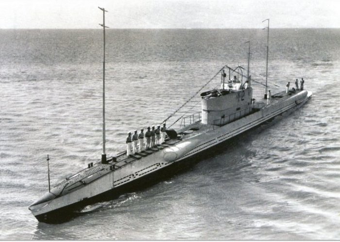 536.jpg