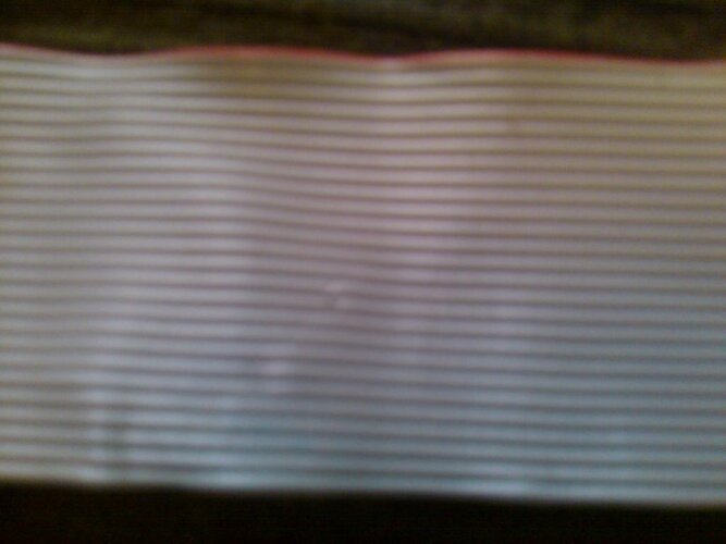 IMAG0107.jpg
