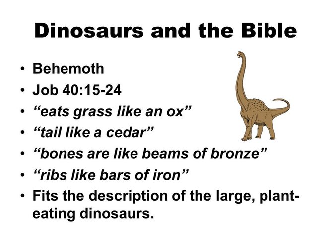 Dinosaurs+and+the+Bible.jpg