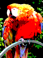 AmstradCPC_palette_sample_image.png