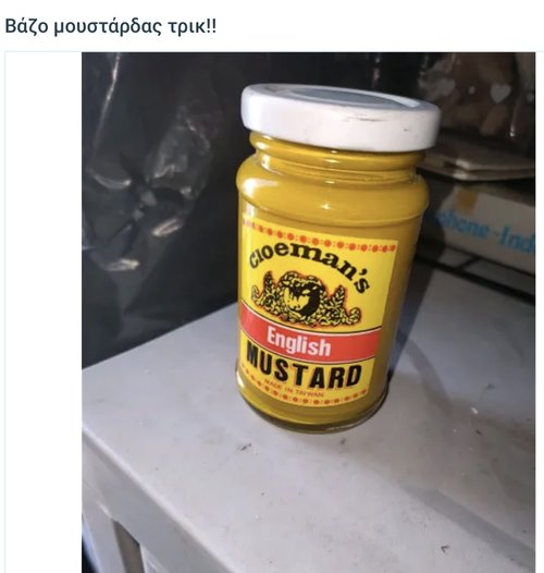 IMG_5411.jpeg