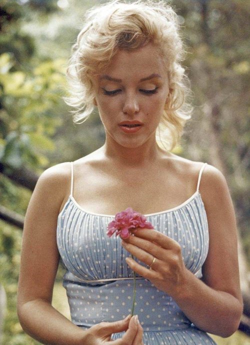 marilyn-monroe-holding-flower-sam-shaw-1957.jpg.jpg