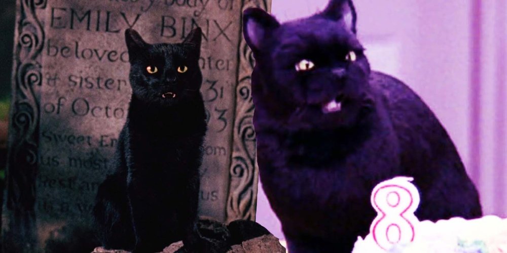 thackery-binx-in-1993-s-hocus-pocus-and-salem-in-sabrina-the-teenage-witch.jpg