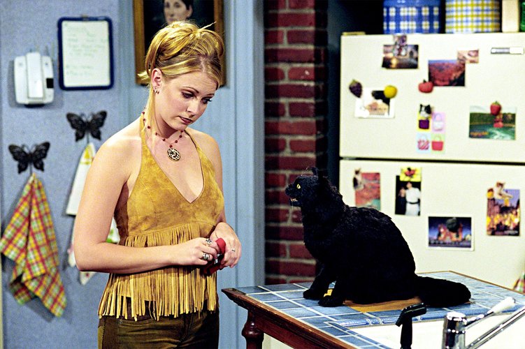 The Chilling Adventures of Salem, Sabrina the Teenage Witch's Cat .jpg
