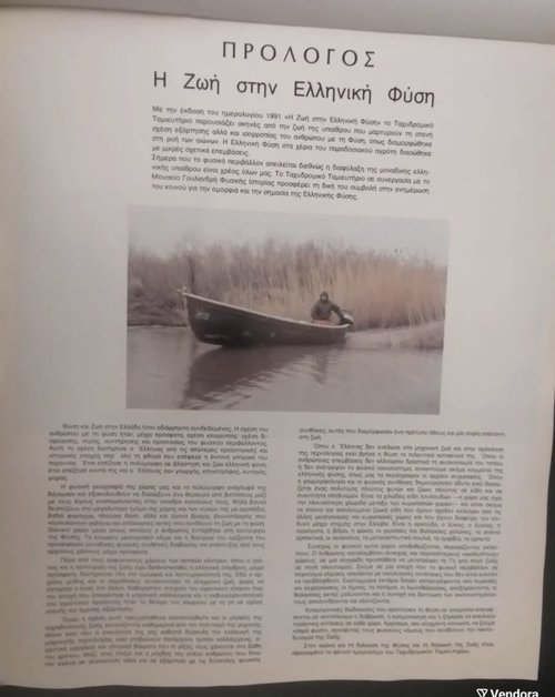 IMG_7500.jpeg