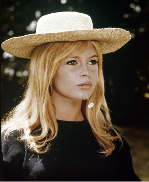 bardot.png