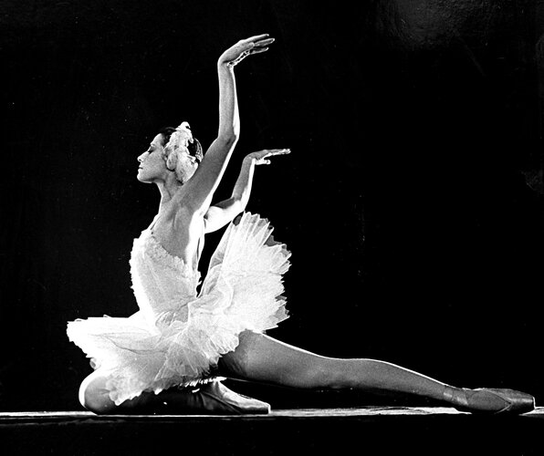 dying swan3.jpg