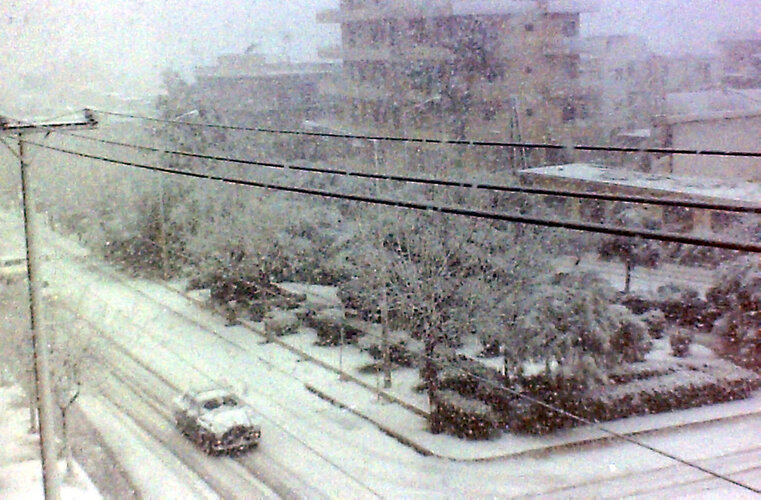 53150779765_45e2af0d47_b.jpg