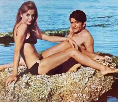 summer 71.png