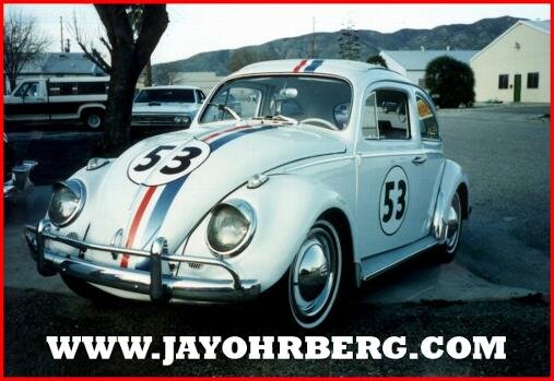 _wsb_507x349_Herbie.jpg