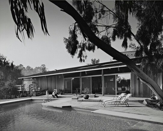 1955.jpg
