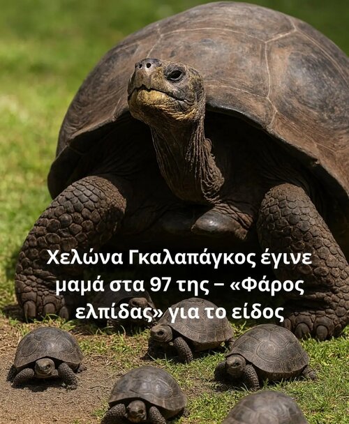 1000034246.jpg