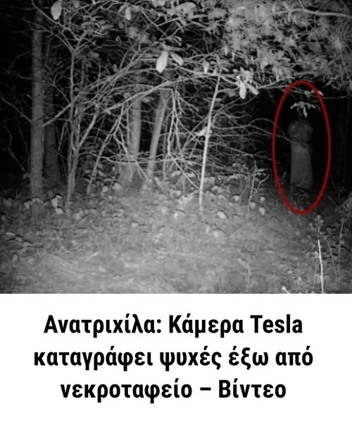 1000034982.jpg