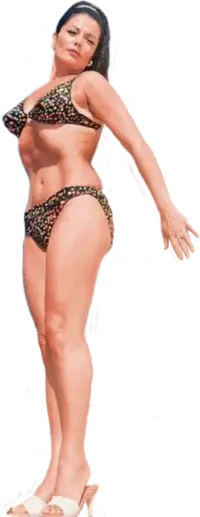 zozo.webp