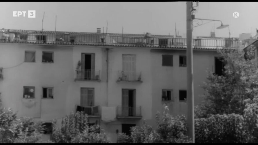 mploko3.jpg mploko3.jpg