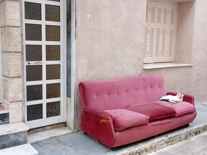 IMG_20191121_141214 (1)(2).jpg IMG_20191121_141214 (1)(2).jpg