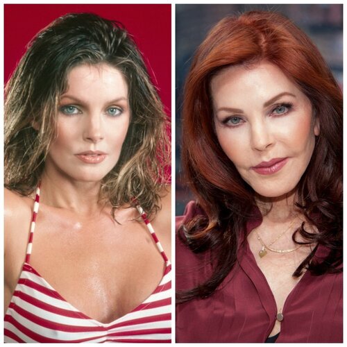 plastic-surgery-gone-wrong-priscilla-presley-7.jpg