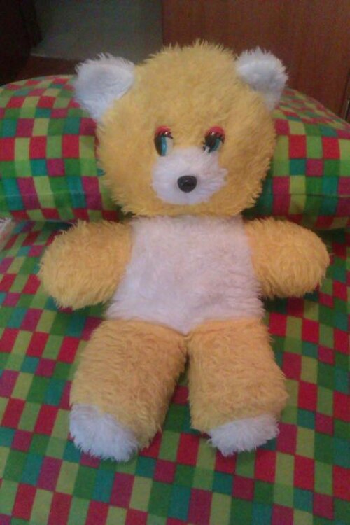 IMAG0593.jpg