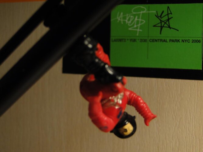 DSC05502.jpg