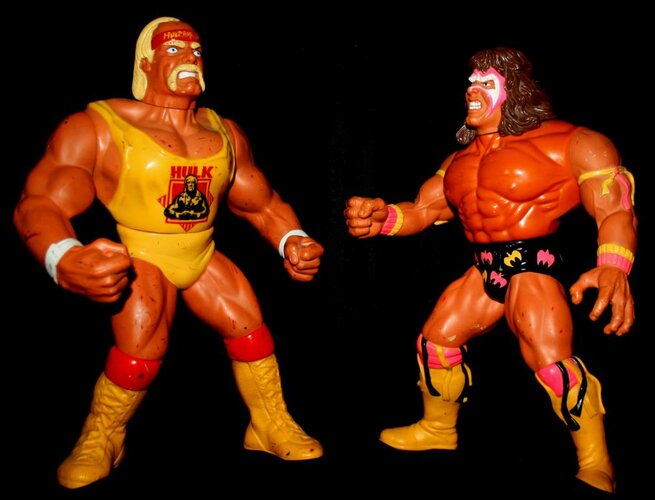 hogan &amp; warrior.jpg