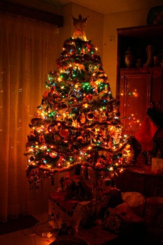 christmas tree.jpg