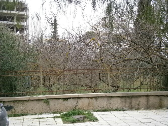 P2010971.jpg