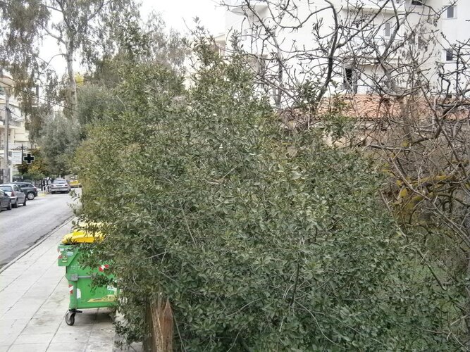 P2010982.jpg